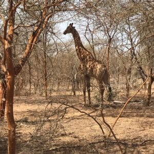 senegal_itinerary3