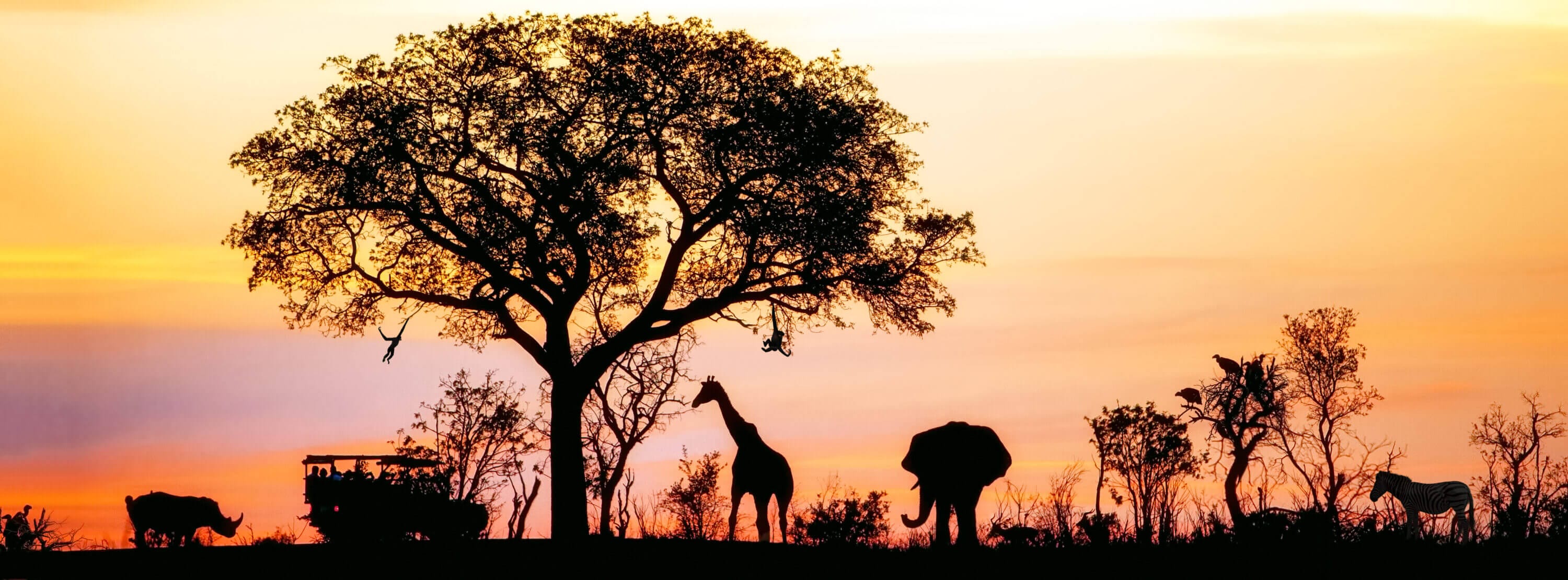 South Africa Safari